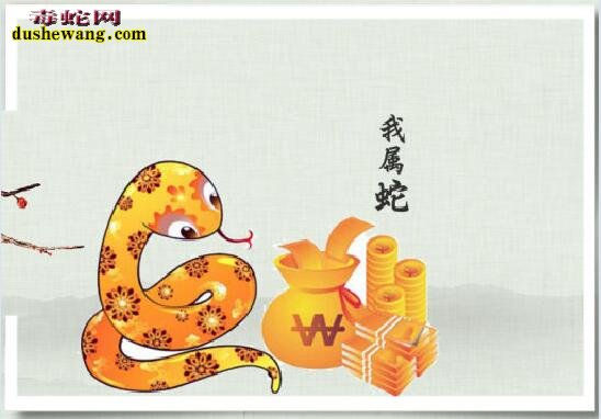 属猪和属蛇的相配吗?