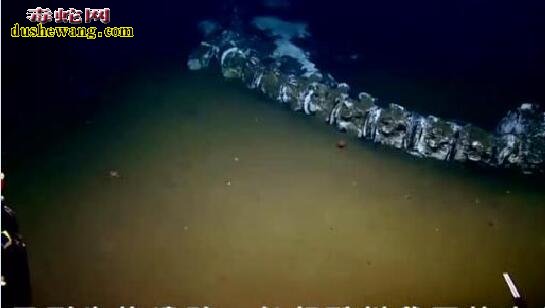 海底惊现12米巨型真龙事件