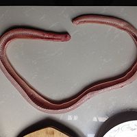 赤练蛇炖汤