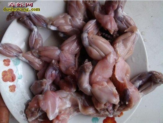 蟾蜍能吃吗?农村常见癞蛤蟆到底能不能吃?