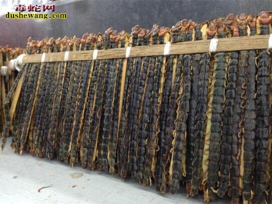 蜈蚣能治阳痿吗?有什么依据?