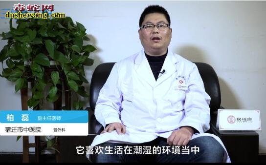 被蜈蚣咬了怎么办?