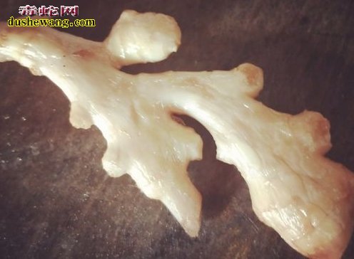 牛蛙怎么做?家常菜红烧牛蛙的做法分享