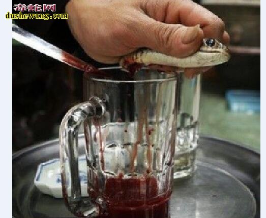 蛇血加白酒喝了安全吗?