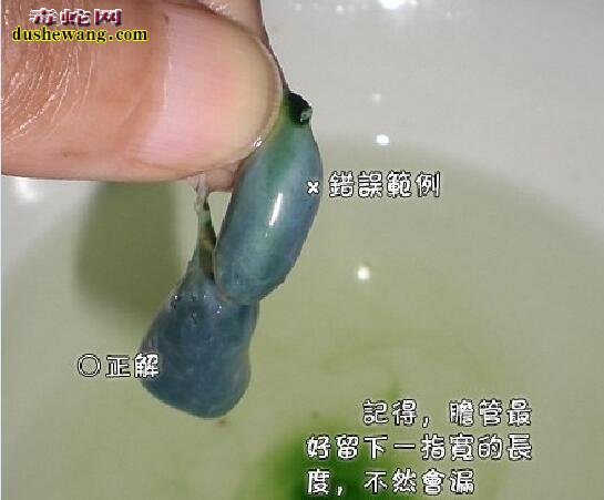 凉拌蛇皮做法、新鲜蛇皮怎么凉拌好吃？