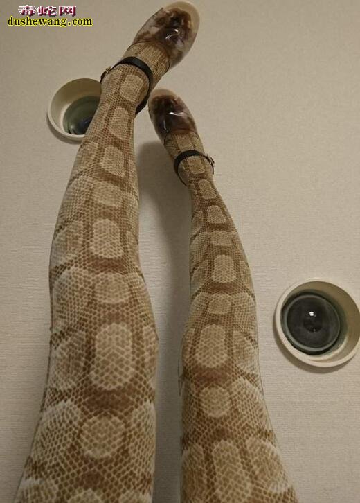 蛇皮丝袜