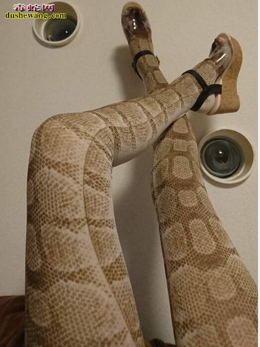 蛇皮丝袜