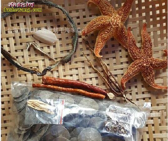 海蛇干与什么煲汤搭配?