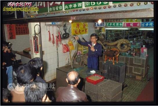 台北华西街曾日杀蛇万条的一蛇肉店歇业！因杀蛇叫卖表演已被禁止！