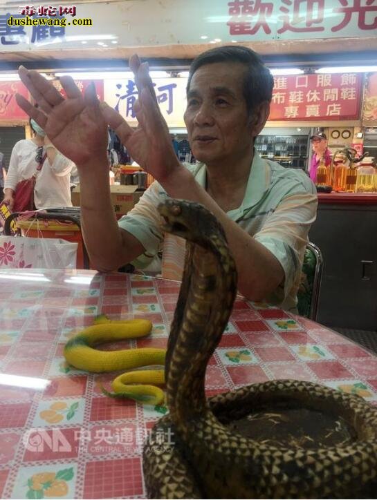 台北华西街曾日杀蛇万条的一蛇肉店歇业！因杀蛇叫卖表演已被禁止！
