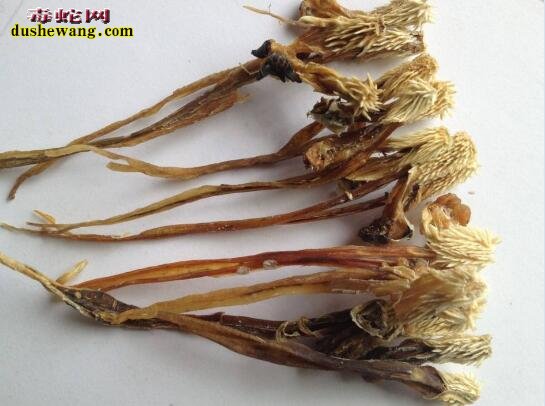 玛卡和蛇鞭能一起泡酒吗?
