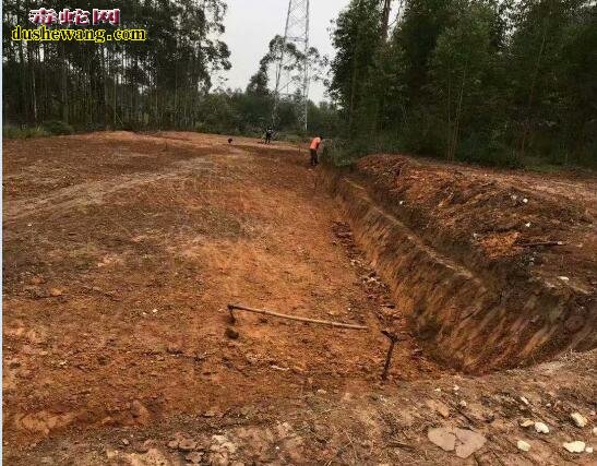 热烈祝贺广西雷村蛇场平南合作养蛇基地第二期工程上马