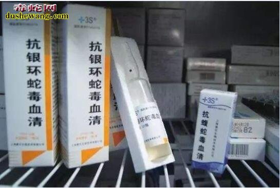 看蛇伤哪个医院好?
