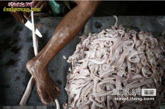 “蛇肉汉堡”想吃吗？来看看印尼蛇产业中的蛇肉汉堡制作犬过程！