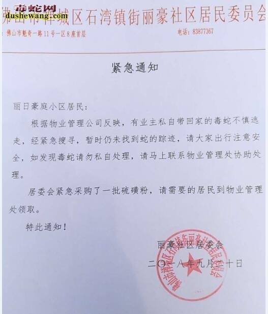 买回家泡酒的眼镜王蛇走失?小区如临大敌!