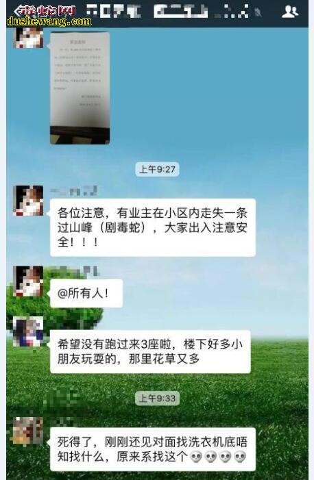 买回家泡酒的眼镜王蛇走失?小区如临大敌!