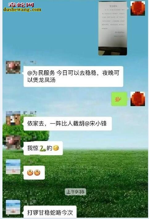 买回家泡酒的眼镜王蛇走失?小区如临大敌!