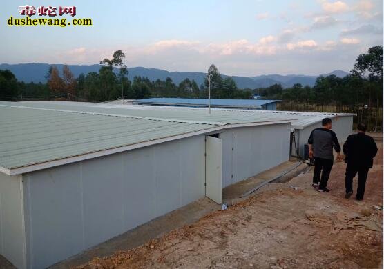 雷村蛇场加盟养蛇基地新年喜报