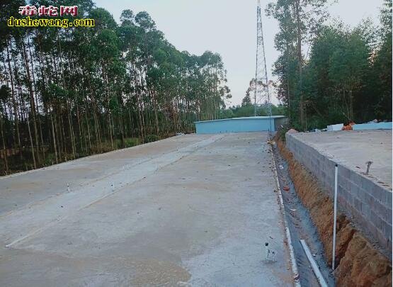 雷村蛇场加盟养蛇基地新年喜报