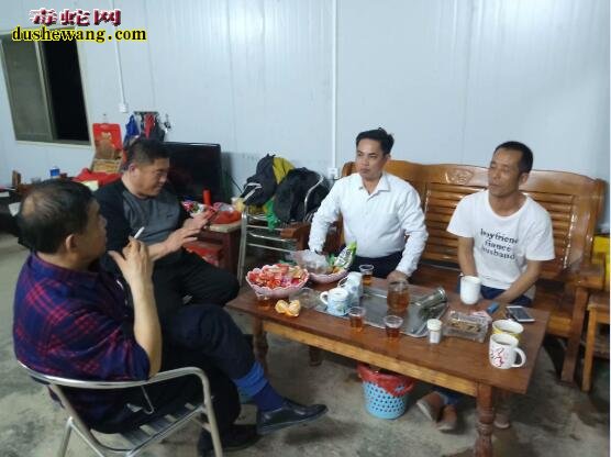 雷村蛇场加盟养蛇基地新年喜报