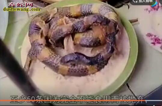 就中国人吃蛇肉吗？看看新加波人吃重口味的蛇皮拌饭美食！