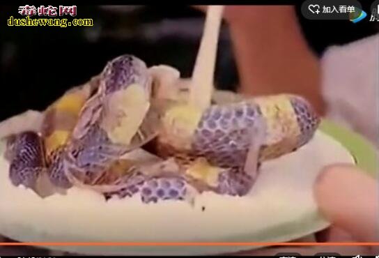 就中国人吃蛇肉吗？看看新加波人吃重口味的蛇皮拌饭美食！