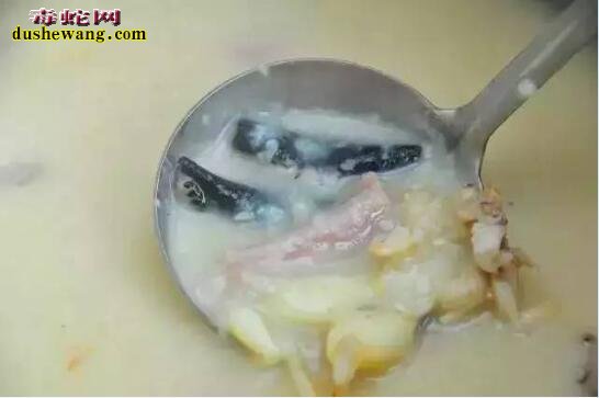 水蛇的药效、水蛇的营养与作用都有哪些?