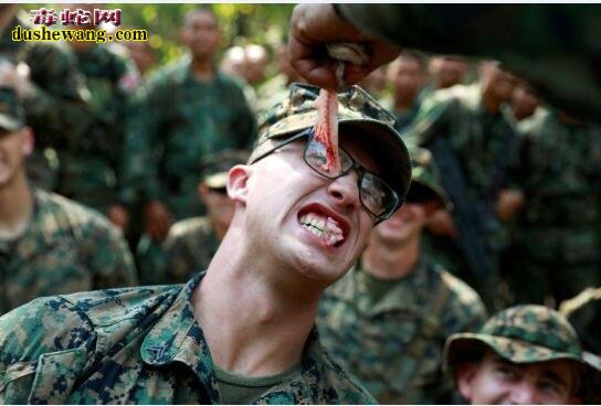 亚太最大规模军演“金色眼镜蛇”! 士兵喝眼镜蛇血、吃壁虎肉！