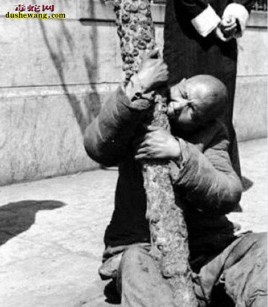 老照片记录1942年河南大饥荒吃光树皮的人们!