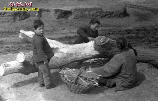 老照片记录1942年河南大饥荒吃光树皮的人们！