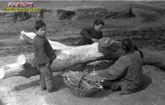老照片记录1942年河南大饥荒吃光树皮的人们!