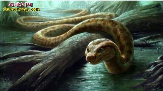 十大传说巨蛇，世界上都有哪些传说中的巨蛇！