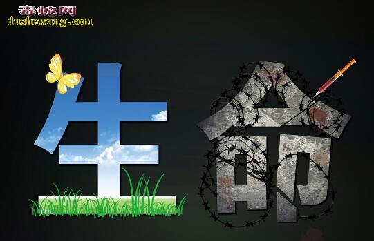 银环蛇咬伤≠安乐死!毒发很痛苦!