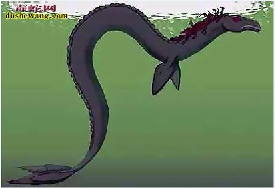 卡布罗龙、马头蛇身大海蛇是真的吗