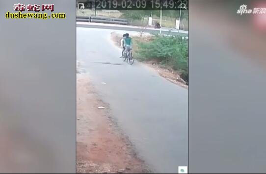 印度两男子骑自行车遭眼镜蛇进攻！网友说抓了炖鸡吃！