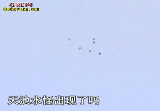 目击长白山水怪再次出现!是否是史书记载的真龙呢?