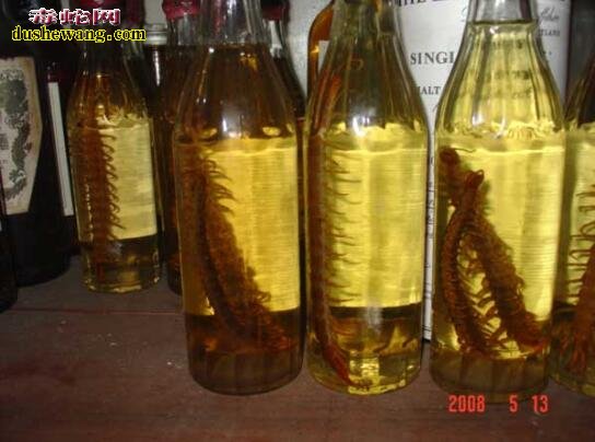 蜈蚣泡酒有什么功效？蜈蚣酒的作用有哪些？