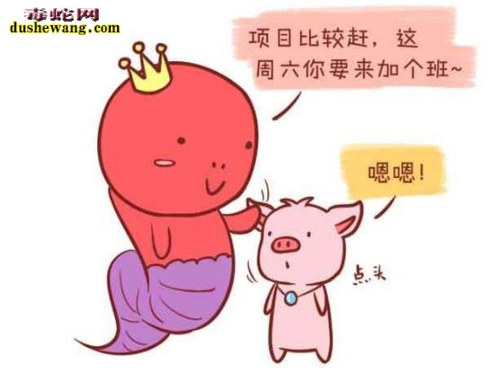 属猪的和属蛇的配吗?