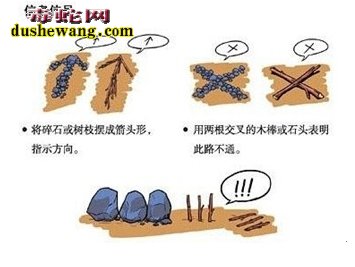 如果在野外遇险该怎么办?