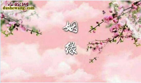 属猪的和属蛇的配吗?