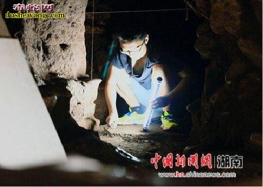 中国考古专家走进神秘玛雅遗址、千年古墓之下有剧毒珊瑚蛇！