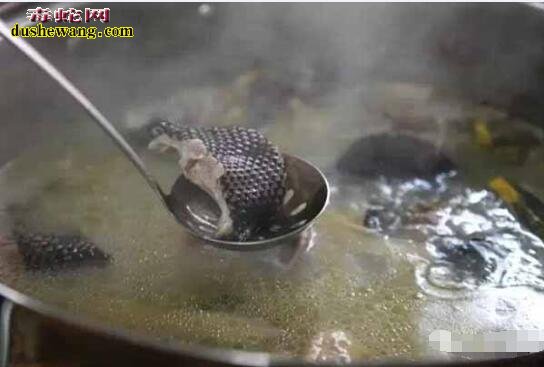 眼镜蛇肉做法、眼镜蛇肉怎么烧好吃?