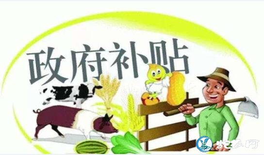 2019年重点强农惠农政策