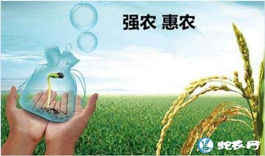 2019年重点强农惠农政策