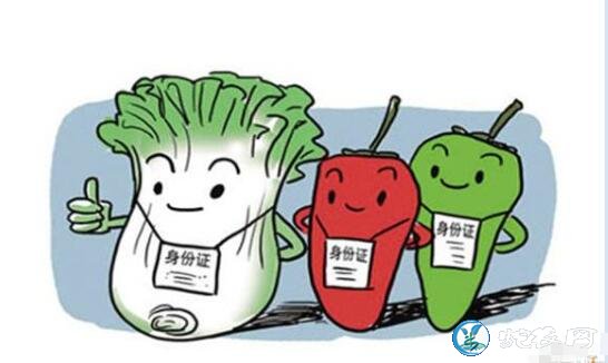 食用农产品合格证制度开始全国推广