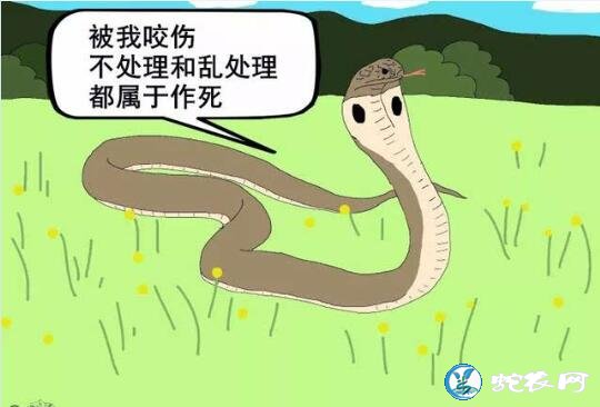 毒蛇咬伤吃什么药好?被毒蛇咬伤用什么草药?