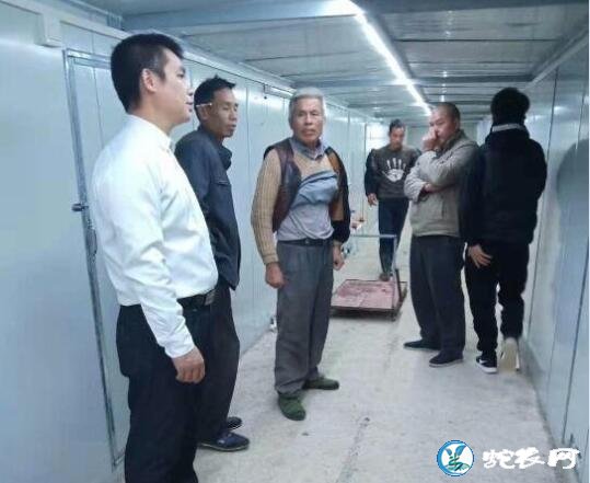 养蛇场的建造