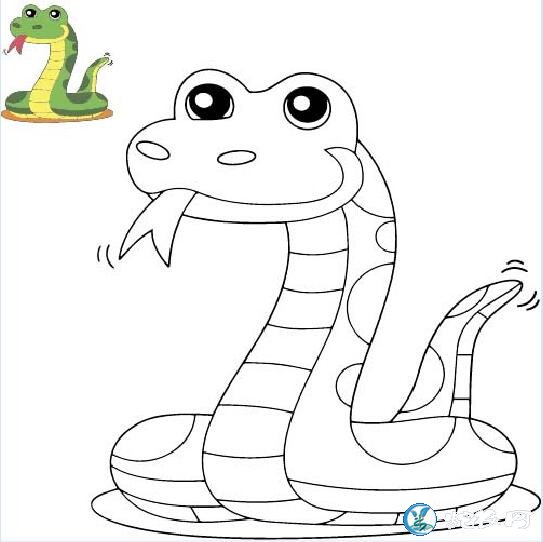画蛇的图片