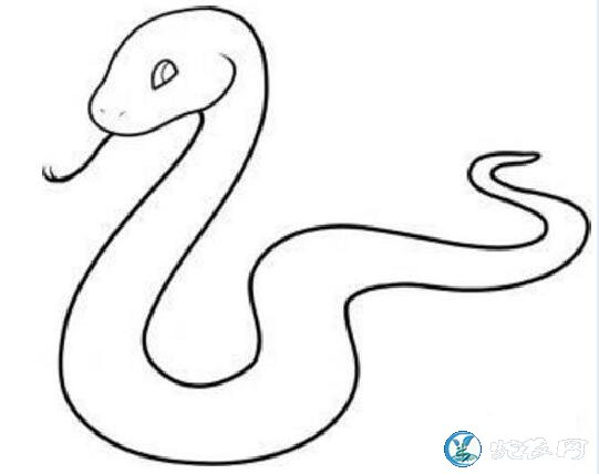 画蛇的图片