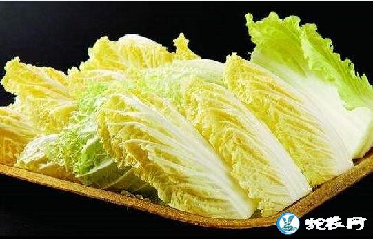 白菜属于什么科蔬菜